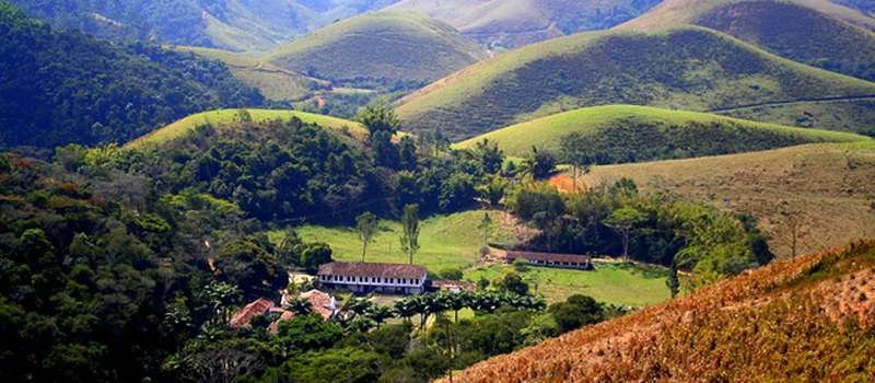 Orgânicos Orgânicos