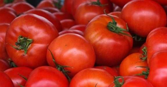 Agricultura orgânica: Regulamentos técnicos da produção animal e vegetal Agricultura orgânica: Regulamentos técnicos da produção animal e vegetal