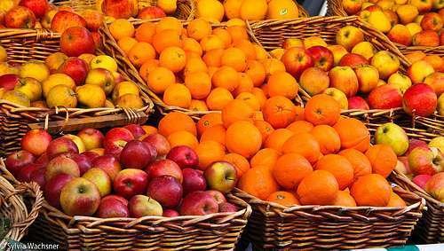 Produtor de São Paulo terá ferramenta digital para certificação de orgânicos