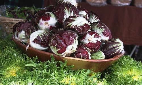 O processo de conversão de sistemas de produção de hortaliças convencionais para orgânicos O processo de conversão de sistemas de produção de hortaliças convencionais para orgânicos