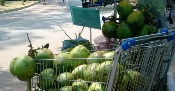 Soluções para o desperdício de alimentos Soluções para o desperdício de alimentos