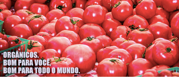 OrganicsNet, rede de integração de produtores OrganicsNet, rede de integração de produtores