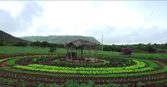 Projeto PAIS busca favorecer relação da agricultura familiar com a agroindústria Projeto PAIS busca favorecer relação da agricultura familiar com a agroindústria
