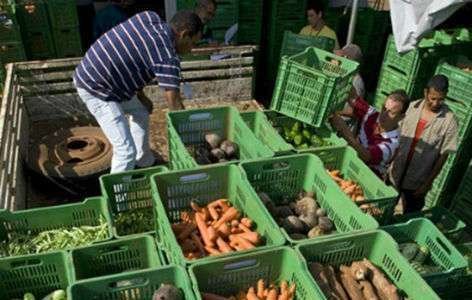 Programas ambientais ajudam a garantir produção de alimentos Programas ambientais ajudam a garantir produção de alimentos