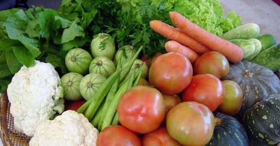 Agroecologia e o direito à alimentação Agroecologia e o direito à alimentação