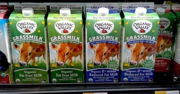 Cresce demanda por leite orgânico nos EUA Cresce demanda por leite orgânico nos EUA