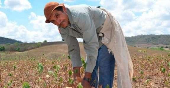 Agricultura orgânica: alternativas e desafios nos assentamentos (PB) Agricultura orgânica: alternativas e desafios nos assentamentos (PB)