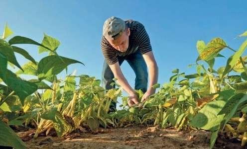 Cartilha sobre financiamento para pequenos e médios produtores rurais Cartilha sobre financiamento para pequenos e médios produtores rurais
