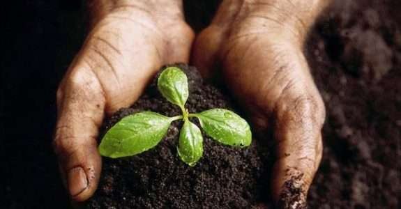 Agroecologia e o conceito de agricultura sustentável Agroecologia e o conceito de agricultura sustentável