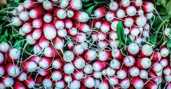De olho na saúde, ‘Geração do Milênio’ promove renovação no mercado de alimentos De olho na saúde, ‘Geração do Milênio’ promove renovação no mercado de alimentos