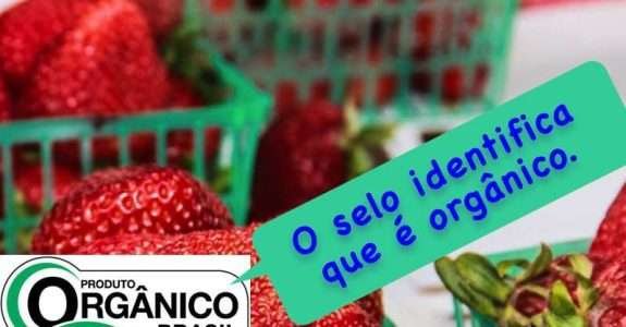 Presidente da SNA pede punição para quem comercializa falsos orgânicos Presidente da SNA pede punição para quem comercializa falsos orgânicos