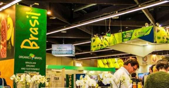 Orgânicos vão ajudar o Brasil a alcançar desenvolvimento sustentável exigido pela ONU Publicado Orgânicos vão ajudar o Brasil a alcançar desenvolvimento sustentável exigido pela ONU Publicado