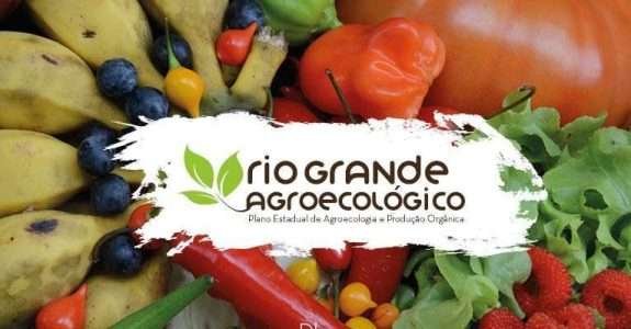 SNA: vê com cautela anúncio do Plano Safra da Agricultura Familiar SNA: vê com cautela anúncio do Plano Safra da Agricultura Familiar