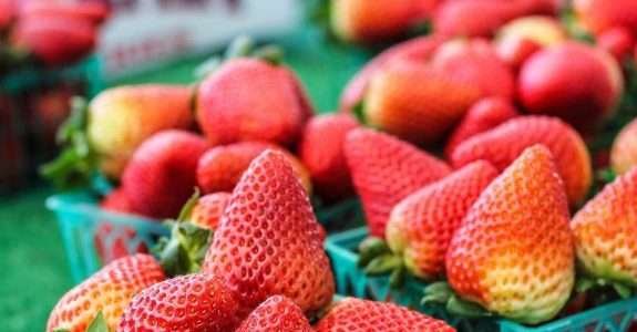 Investimentos tecnológicos em produção barateiam o produto final Investimentos tecnológicos em produção barateiam o produto final