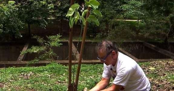 Produtor de açúcar orgânico participa do programa “Como Será?” Produtor de açúcar orgânico participa do programa “Como Será?”