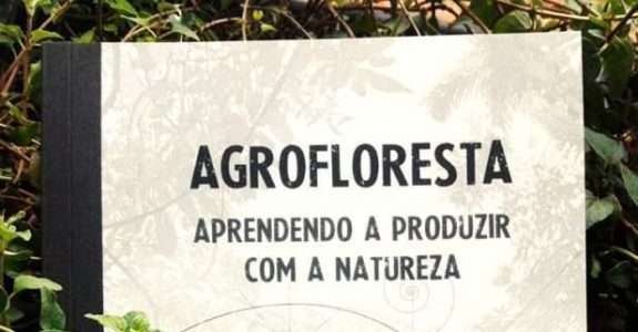 Agroflorestas: aprendendo a produzir Agroflorestas: aprendendo a produzir