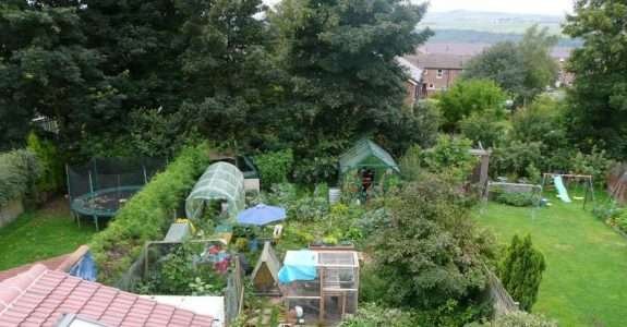 Agricultura orgânica em áreas urbanas e periurbanas com base na agroecologia Agricultura orgânica em áreas urbanas e periurbanas com base na agroecologia