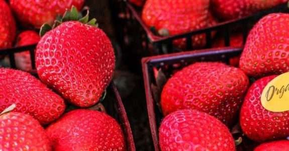 Sylvia Wachsner fala sobre alimentos orgânicos em entrevista ao jornal O Fluminense Sylvia Wachsner fala sobre alimentos orgânicos em entrevista ao jornal O Fluminense