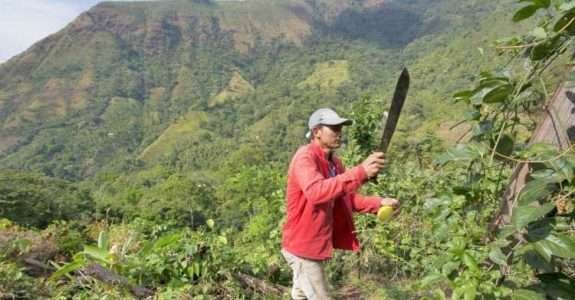 FAO cria certificação para produtos de regiões montanhosas FAO cria certificação para produtos de regiões montanhosas