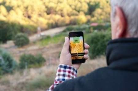 Inovação, agricultura e cadeias de valor Inovação, agricultura e cadeias de valor