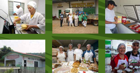 Agroindústria da agricultura familiar: regularização e acesso ao mercado Agroindústria da agricultura familiar: regularização e acesso ao mercado
