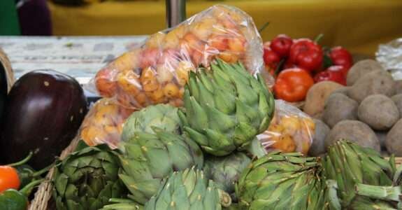 Agricultura Orgânica: Regulamentos técnicos e acesso aos mercados dos produtos orgânicos no Brasil