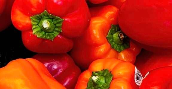 Agroecologia e Agricultura Orgânica: princípios, métodos e práticas – INCAPER