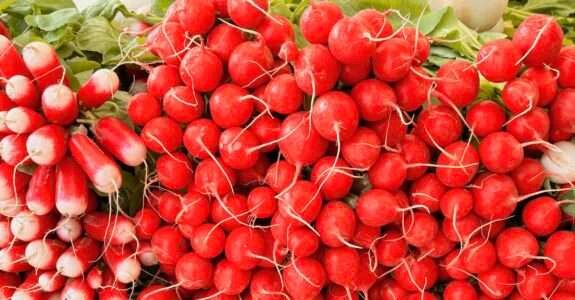 O que define um alimento como orgânico e como ele obtém essa certificação?