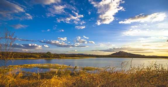 O paraíso lucrativo do herdeiro da família que fundou a Syngenta no sertão da Paraíba