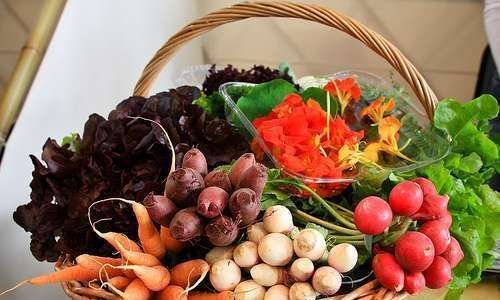 Normas para a produção e processamento de orgânicos Normas para a produção e processamento de orgânicos
