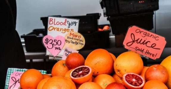 Governança entre supermercados e produtores agrícolas, Brasil e EUA Governança entre supermercados e produtores agrícolas, Brasil e EUA