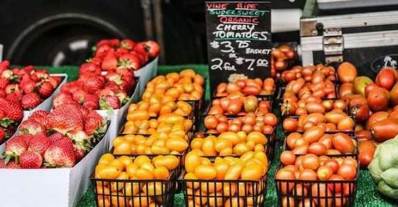 Embrapa: orientações para colheita, pós-colheita e comercialização de frutas e hortaliças orgânicas. Embrapa: orientações para colheita, pós-colheita e comercialização de frutas e hortaliças orgânicas.