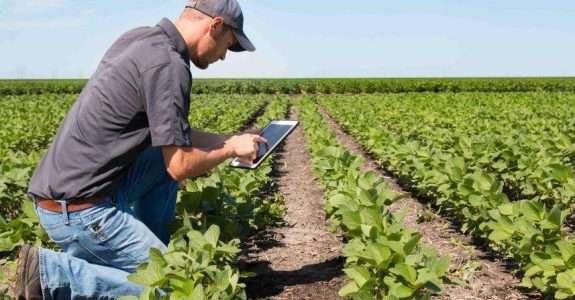 Novas tecnologias conquistam espaço no agronegócio Novas tecnologias conquistam espaço no agronegócio