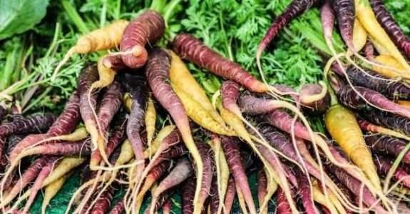 Suíça se mantém como a ‘campeã mundial’ dos orgânicos Suíça se mantém como a ‘campeã mundial’ dos orgânicos