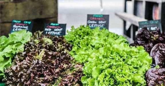 Projeto pioneiro rastreará a origem de vegetais orgânicos Projeto pioneiro rastreará a origem de vegetais orgânicos