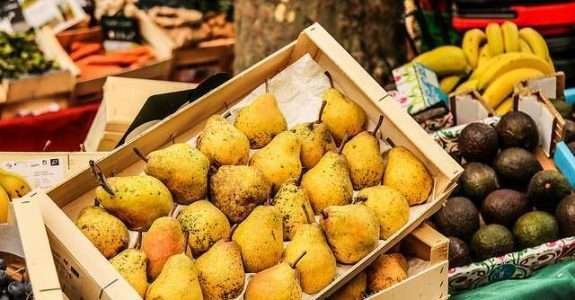 Frutas e vegetais estão entre os alimentos mais desperdiçados do mundo Frutas e vegetais estão entre os alimentos mais desperdiçados do mundo