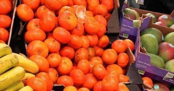 União Europeia aprova novas regras para os orgânicos União Europeia aprova novas regras para os orgânicos