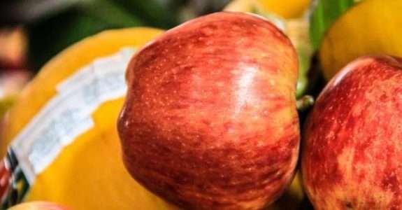 Saudável, orgânico e sustentável: a revolução dos millennials e a indústria alimentícia Saudável, orgânico e sustentável: a revolução dos millennials e a indústria alimentícia