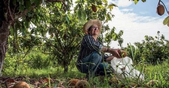 A nova economia da Amazônia A nova economia da Amazônia