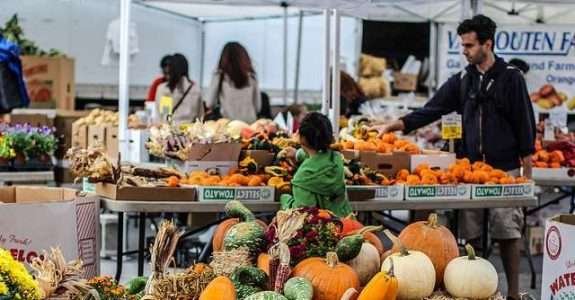 Millennials: os pais ‘orgânicos’ do futuro Millennials: os pais ‘orgânicos’ do futuro