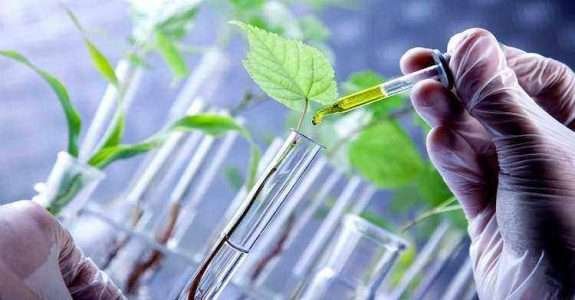 Utilização de bioinsumos é “o presente e futuro da agricultura sustentável” Utilização de bioinsumos é “o presente e futuro da agricultura sustentável”