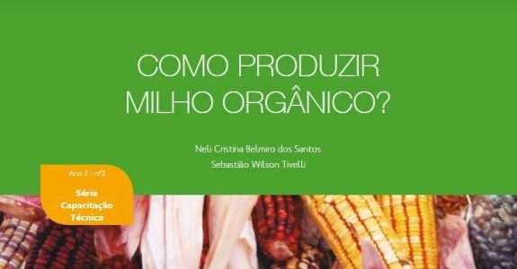 Como produzir milho orgânico? Como produzir milho orgânico?
