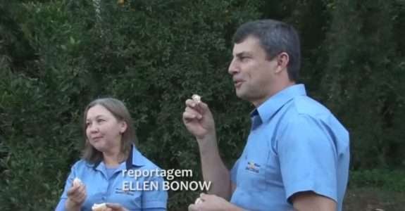 Novo Citrus e a bergamota orgânica “Pareci” Novo Citrus e a bergamota orgânica “Pareci”