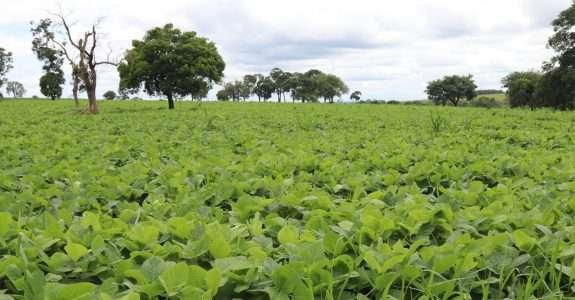 Produtores de orgânicos testam ferramenta digital durante oficinas
