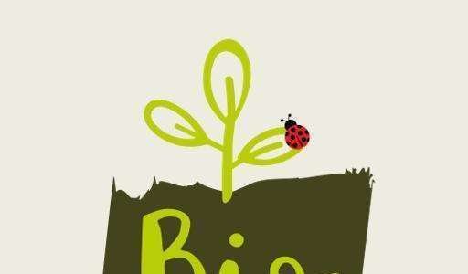 Bioinsumos turbinam agricultura brasileira Bioinsumos turbinam agricultura brasileira