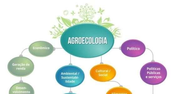 Práticas alternativas para a produção agropecuária agroecológica Práticas alternativas para a produção agropecuária agroecológica