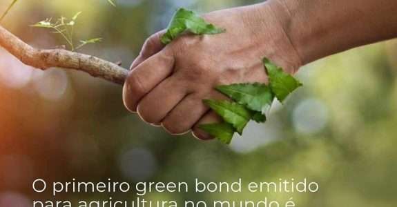Rizoma e grupo Ecoagro realizam primeira emissão certificada de título verde do mundo Rizoma e grupo Ecoagro realizam primeira emissão certificada de título verde do mundo