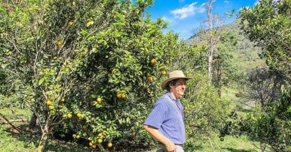 Nicho de bicho-grilo vira mercado de US$ 3,7 bilhões