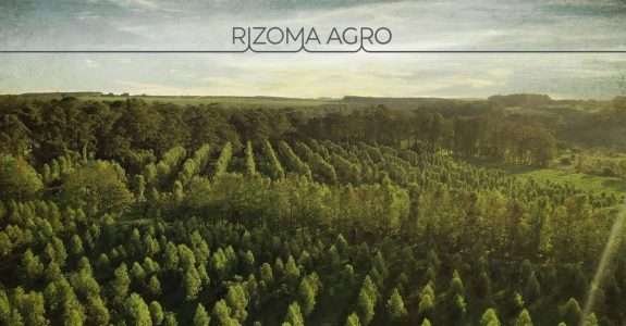 A nova certificação orgânica: agricultura regenerativa