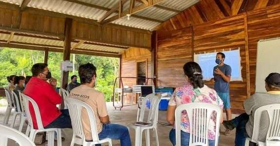 Agroecologia em rede: produção orgânica na Amazônia mato-grossense